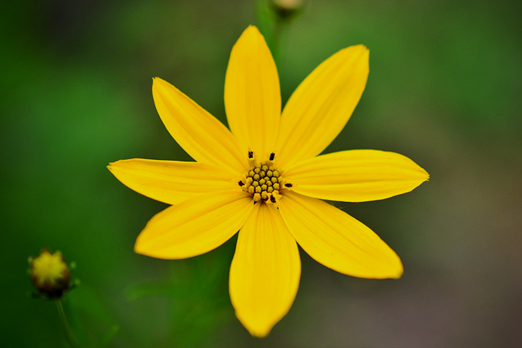 日祷记||神啊,让我们定睛标竿努力奔跑,得着属天的奖赏(2017-11-02)